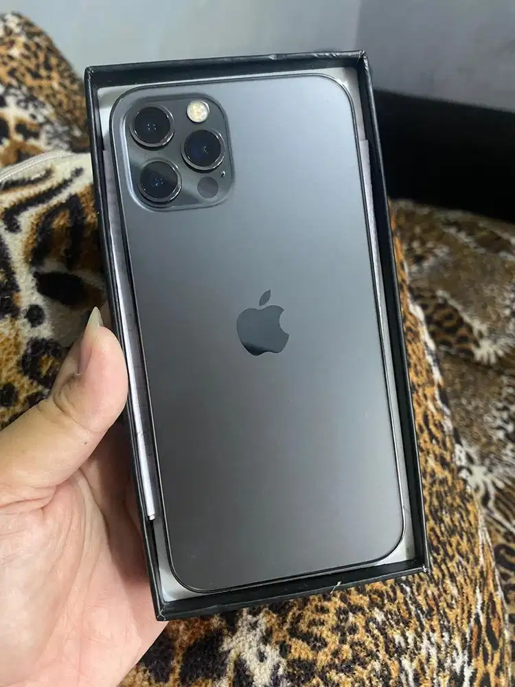 iphone 12pro 256gb inter no minus