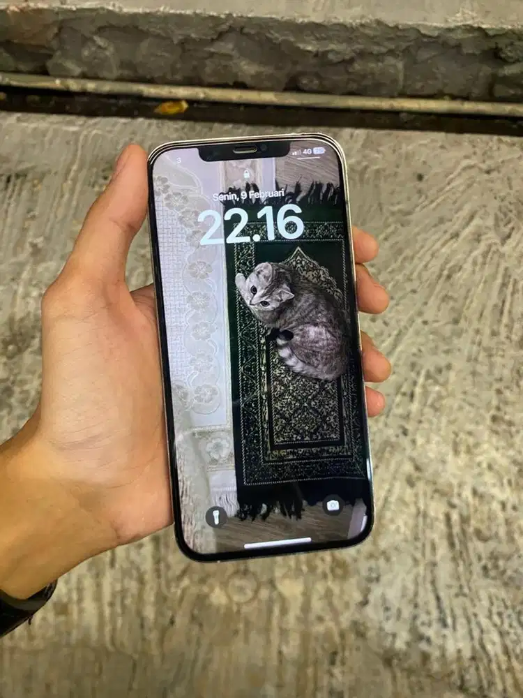 IPHONE 12 PROMAX 256GB INTER ALL OPERATOR