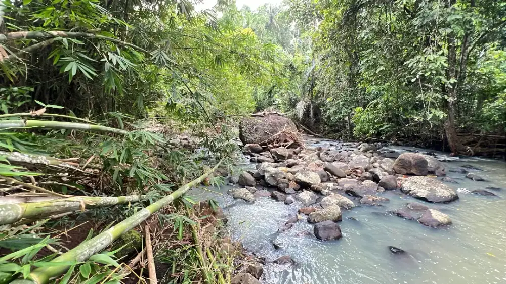 Tanah Kebun Luasan Kecil Los Sungai Tabanan Bali