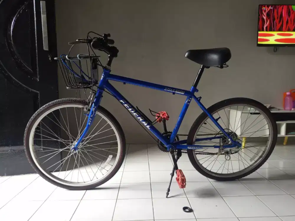 Sepeda federal Taiwan