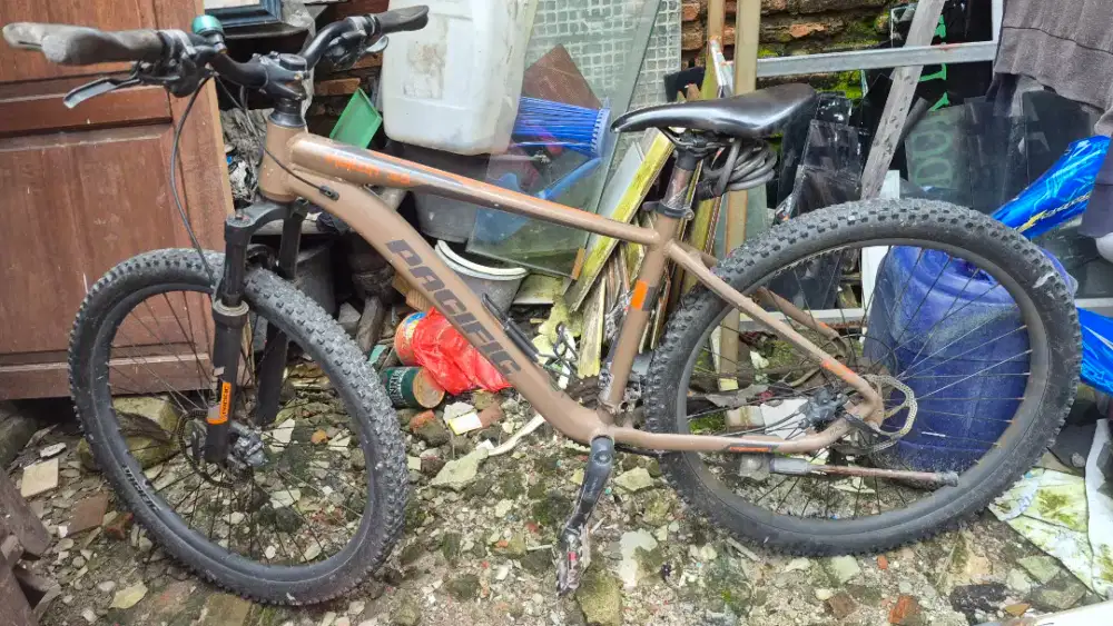 Pacific Sepeda Gunung