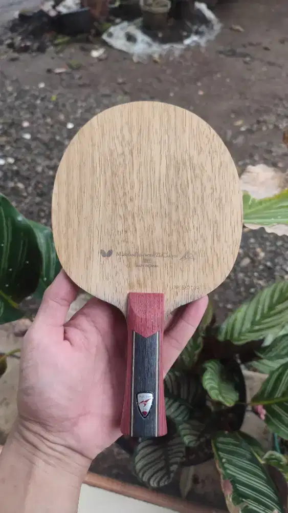 Bet Tenis Meja Butterfly Jun Mizutani ZLC second Mulus Box ada