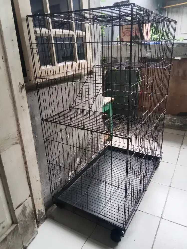 Kandang kucing tingkat