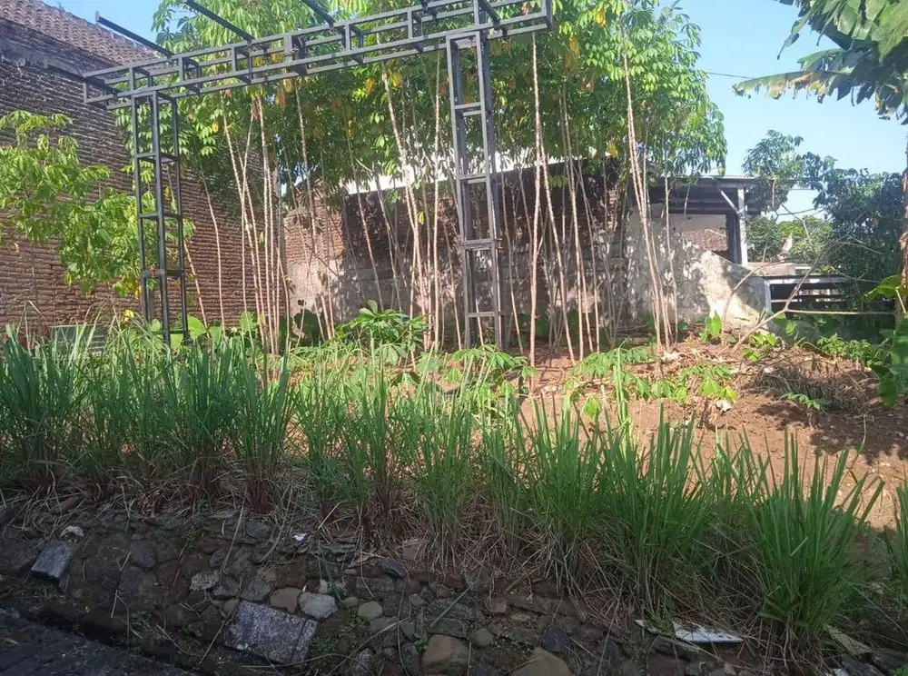 Dijual tanah siap bangun area Mulyorejo kota Malang