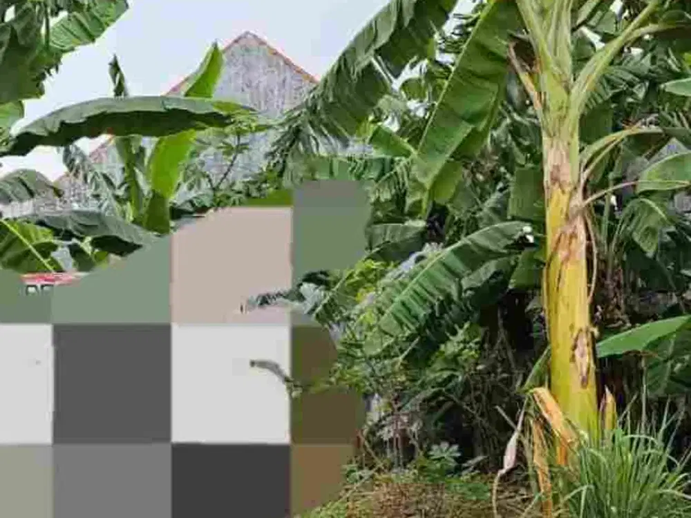 taman pinang indah Sidoarjo