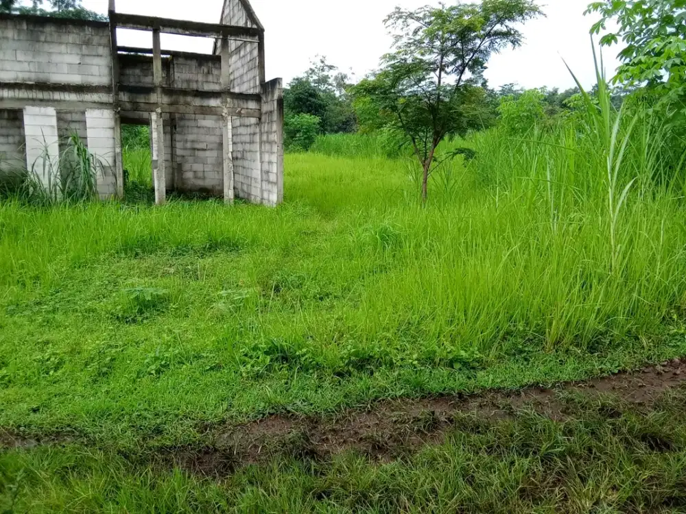 Dayurejo Pandaan Pasuruan