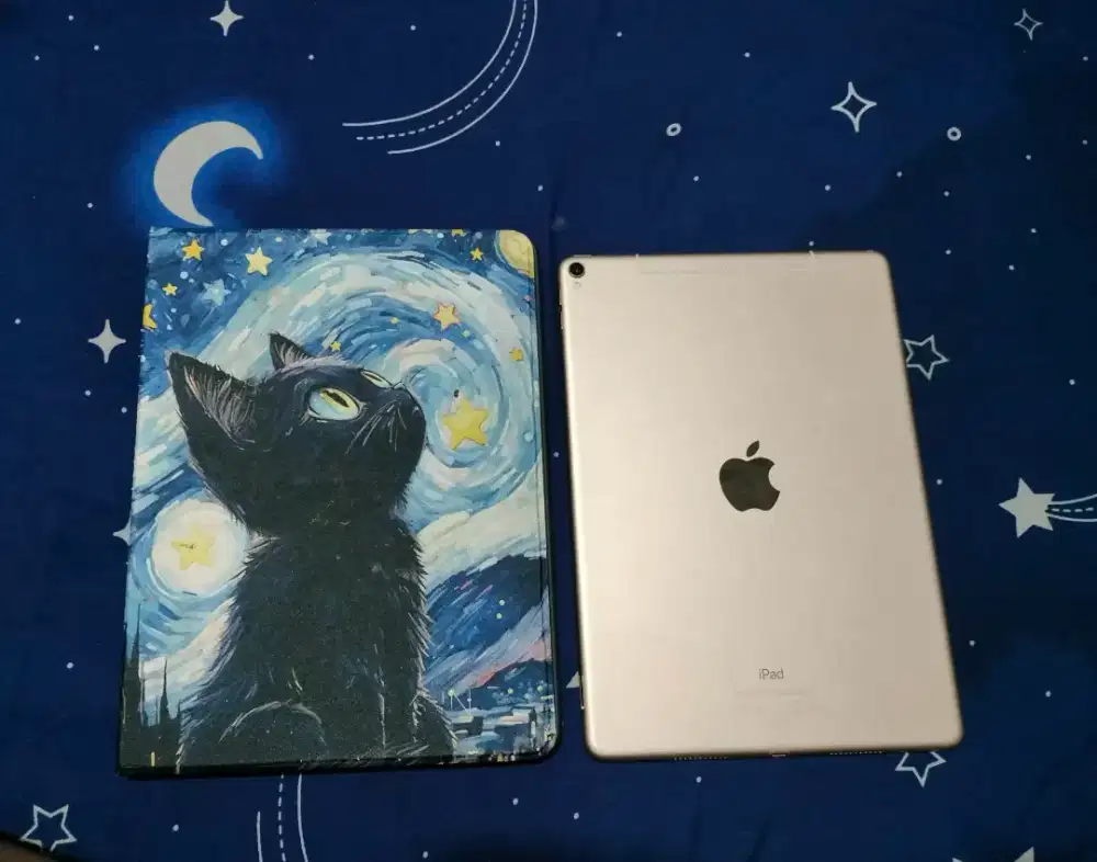 iPad pro 10.5 inc 512 GB wifi cell