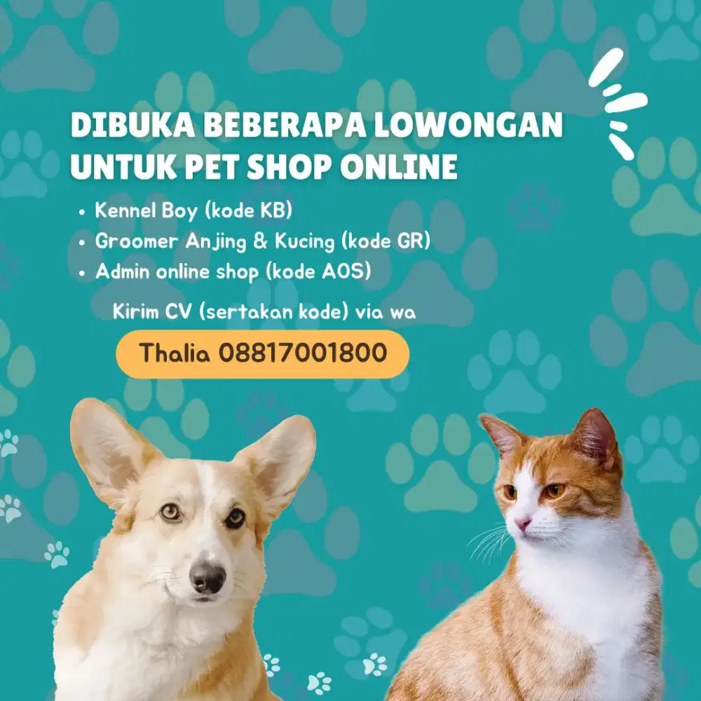 Dibutuhkan kennel boy, groomer, admin petshop online
