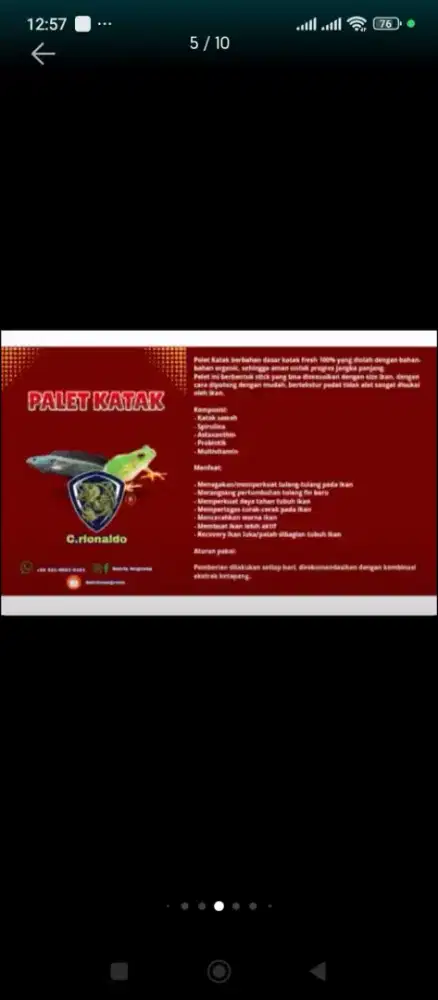 Pelet kodok buat chana kesayangan mu