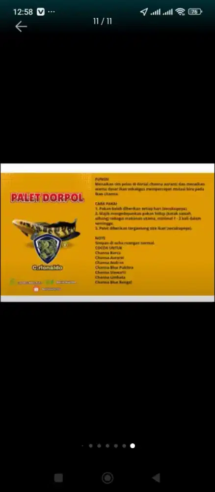 Pelet dorpol buat chana kesayangan mu