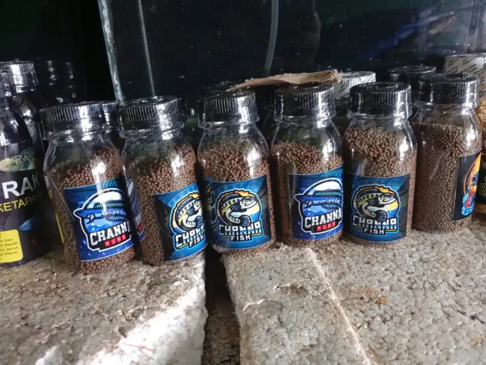 Pelet chana penganti pakan hidup