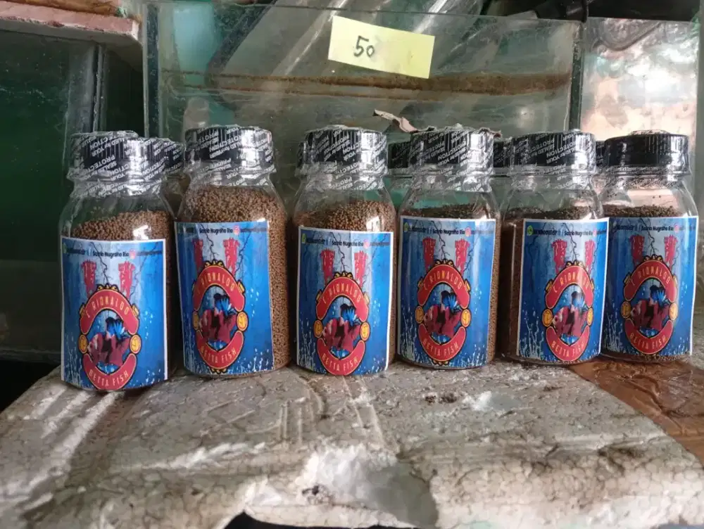 Pelet cupang buat kesayangan bos qu