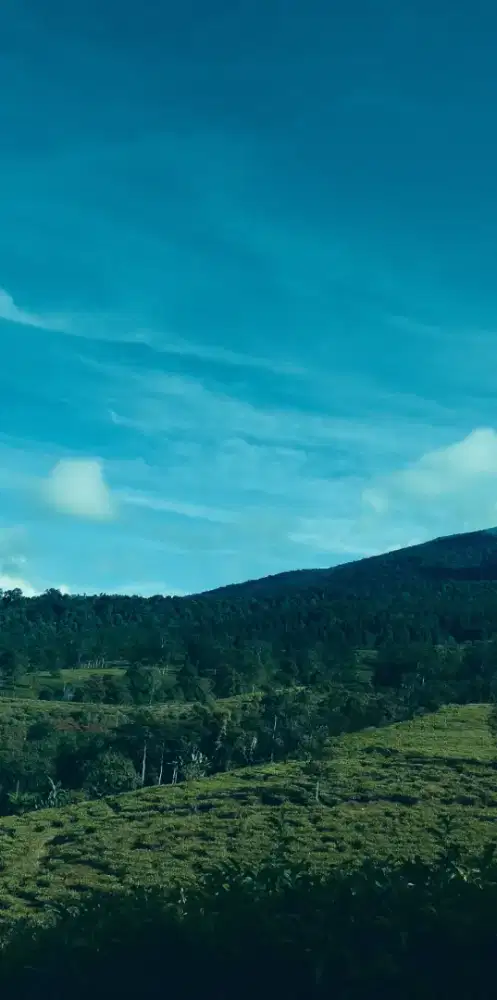 Cari pekerjaan apa saja