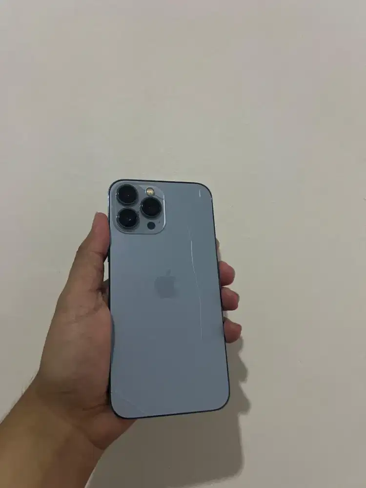 iPhone 13promax inter