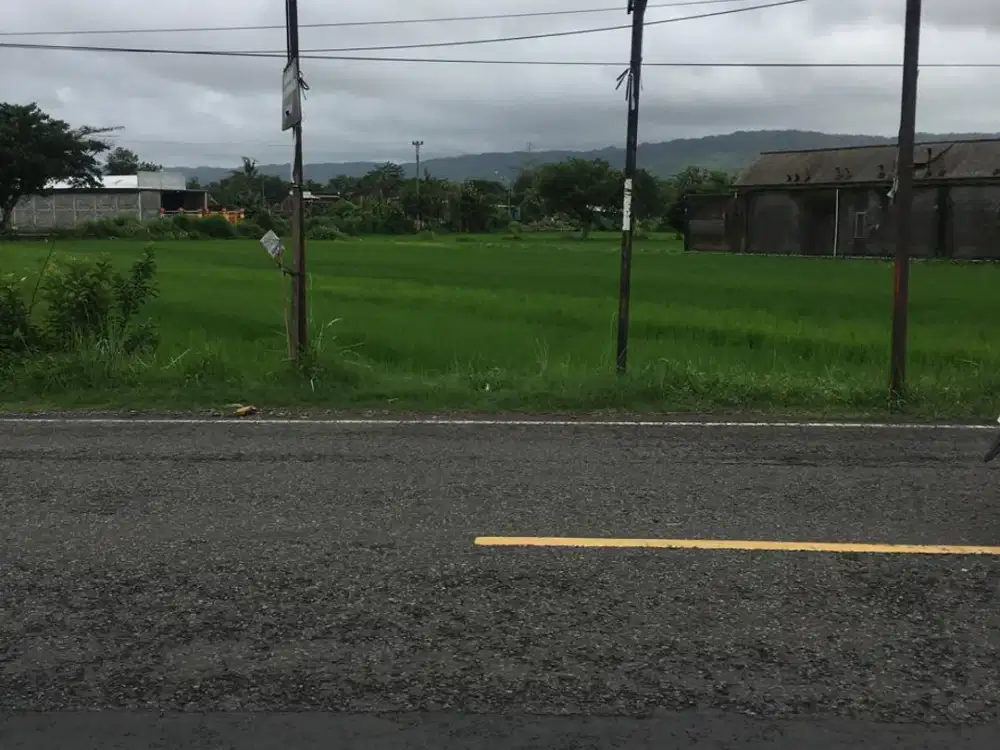 Tanah di Pinggir Jalan Propinsi Parangtritis Bantul Yogyakarta