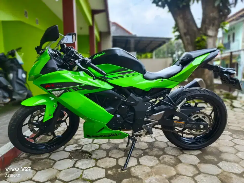 Kawasaki Ninja 250 Sl Mono