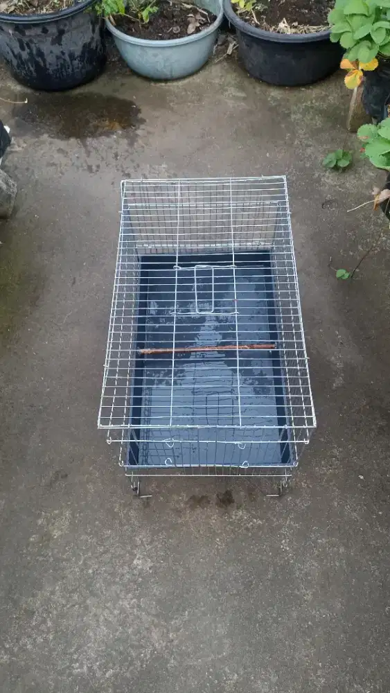 Keramba pemandian burung baru dipakai 2 minggu ukuran 40 cm x 60 cm