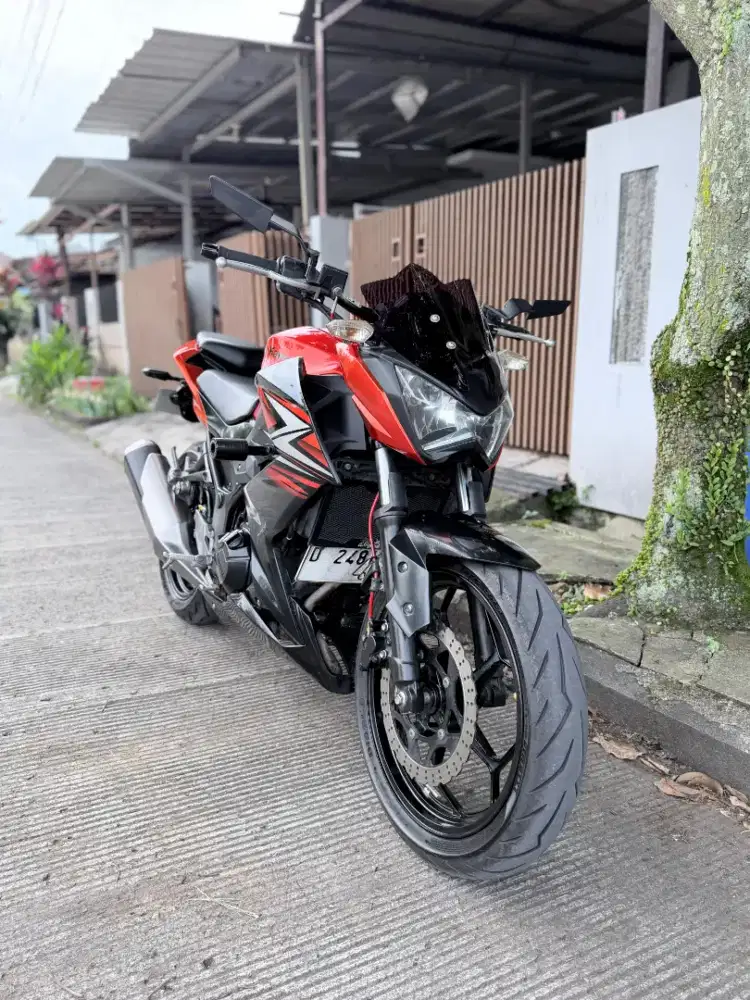 Kawazaki Z 250 tahun 2014