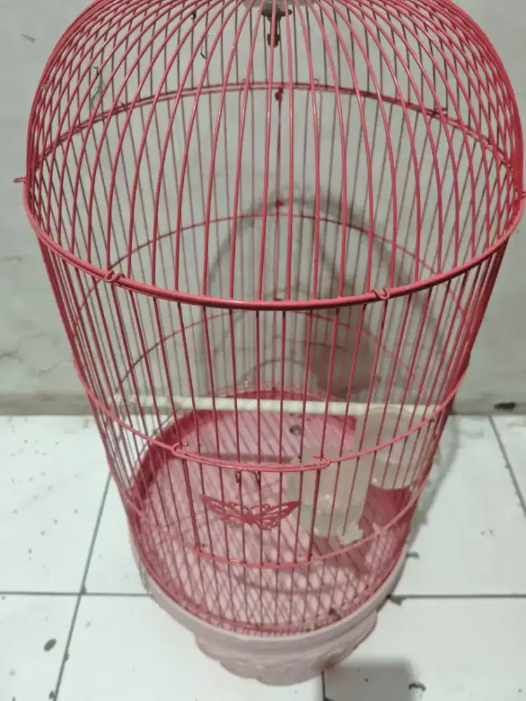 Sangkar love bird