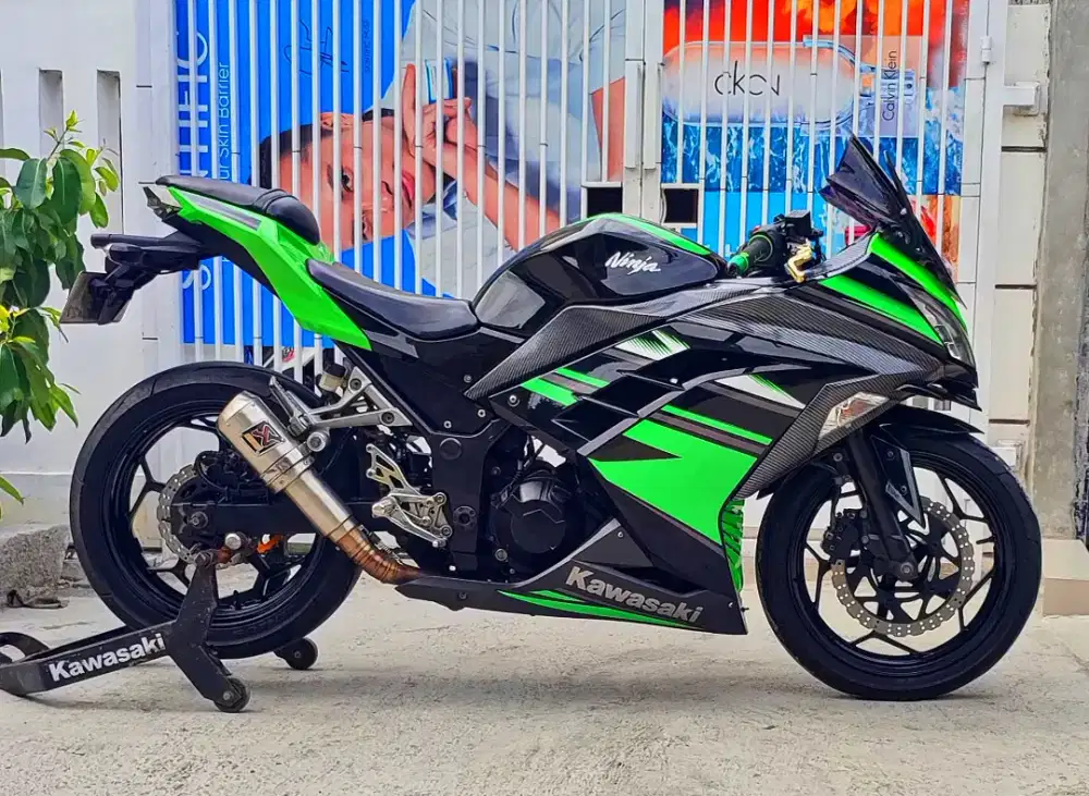 Kawasaki Ninja 250