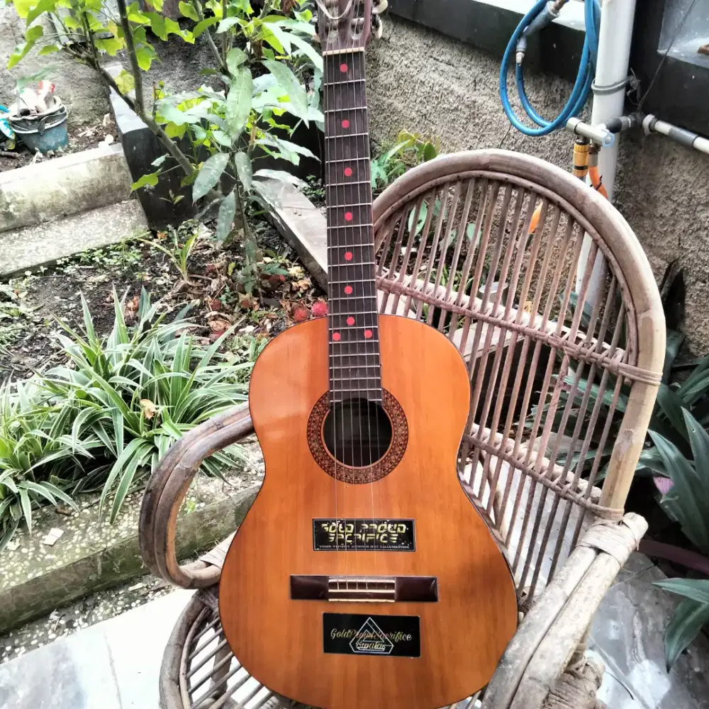 GITAR AKUSTIK YAMAHA C315