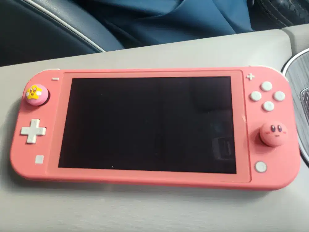 Nintendo Switch Lite OFW