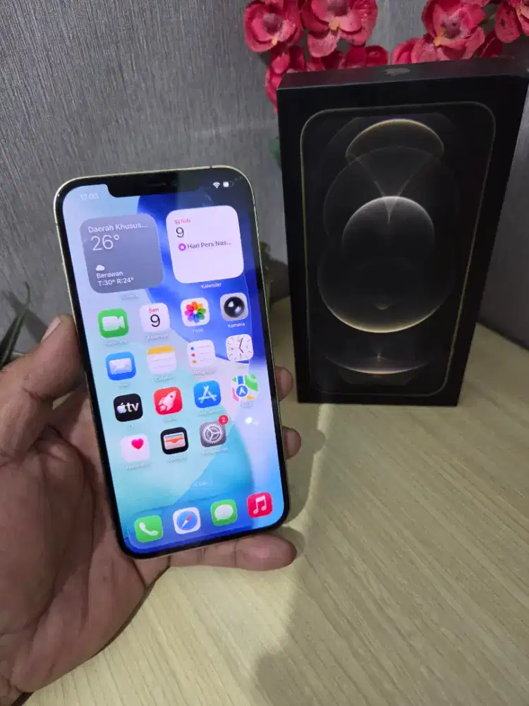 IPhone 12 Pro Max 256GB ibox