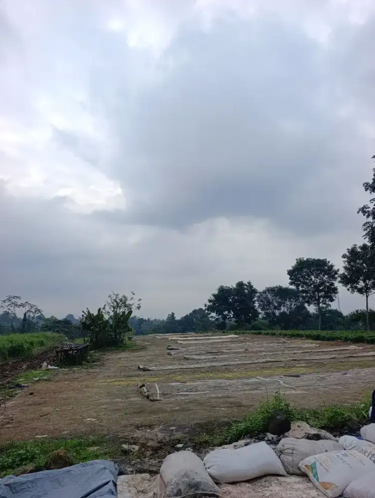 Tukang jemur ampas kelapa