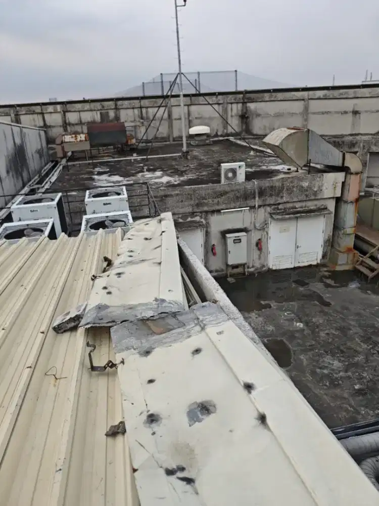 Dibutuhkan Tukang dan kenek.