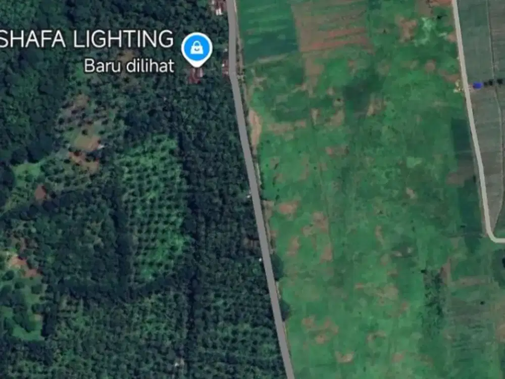 DIJUAL  – KEBUN KELAPA  Dusun Panggang, Kampung Anyar, Licin – Banyuwangi