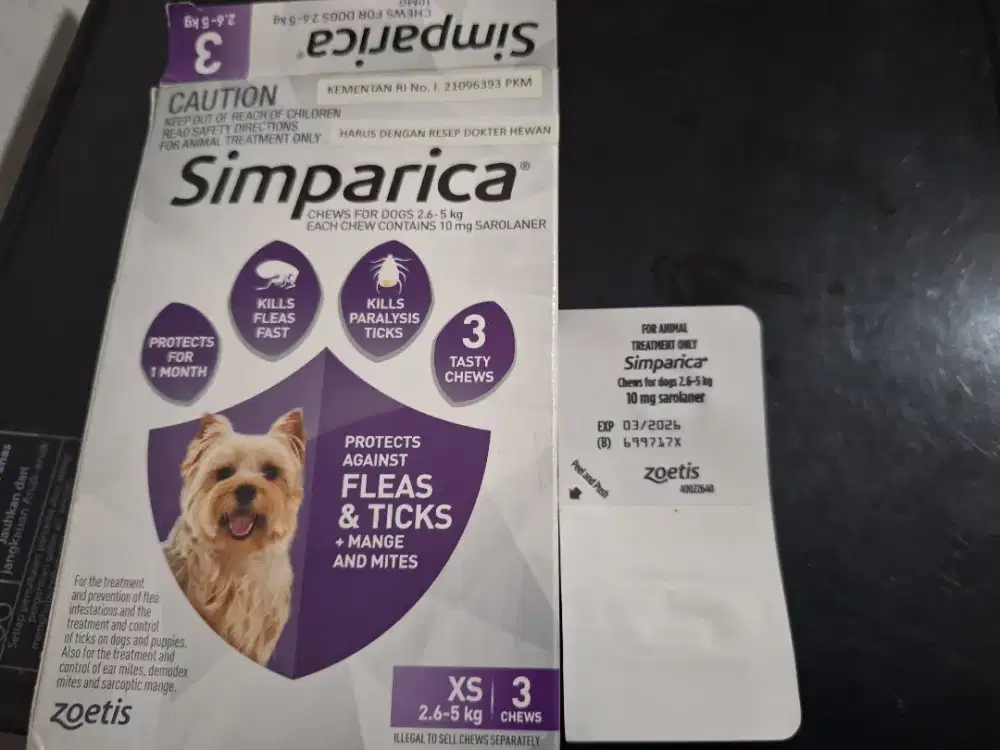 Simparica obat kutu anjing