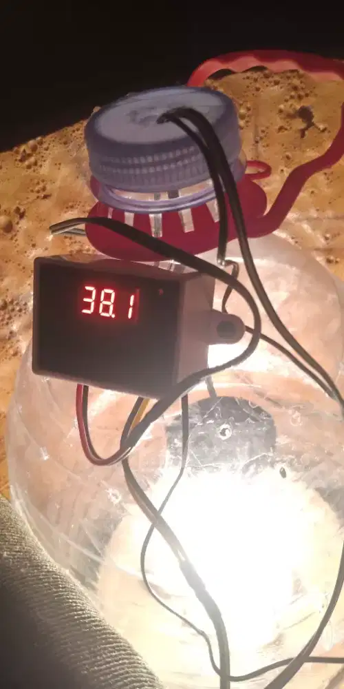 Alat teutes telur otomatis