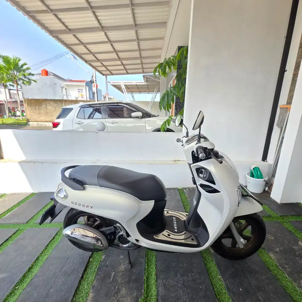 Honda Scoopy 2025 Special Edition KM 300
