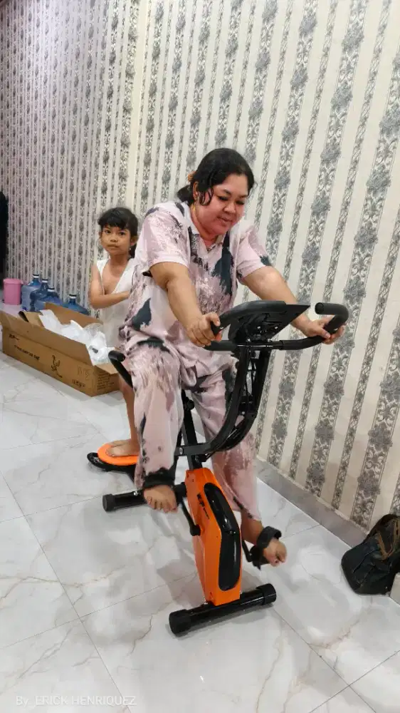 Magnetic X-Bike 22-XT