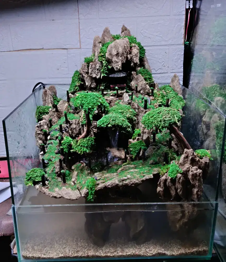 Paludarium Aquascape Fullset Aquarium Akuarium siap Kirim