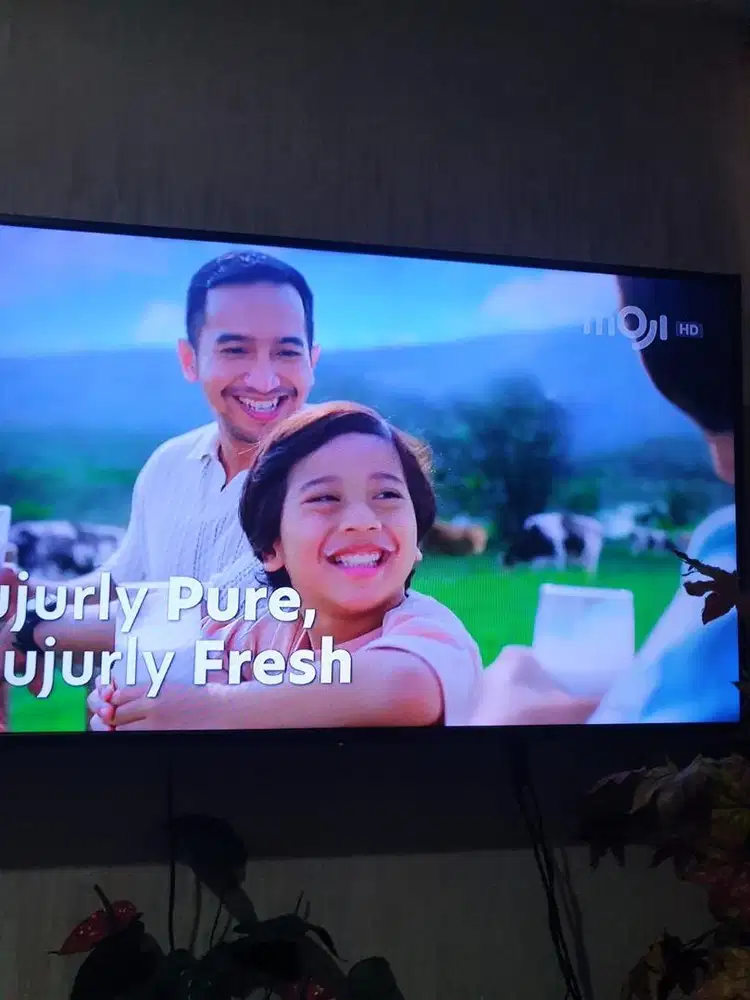 LED TV PANASONIC 55 INCH