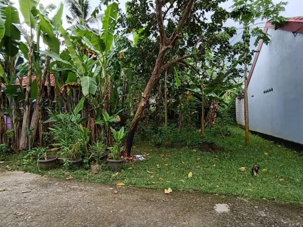 Dijual Cepat  MurahTanah Kosong Di Desa Pangebatan - Harga 100 juta nego