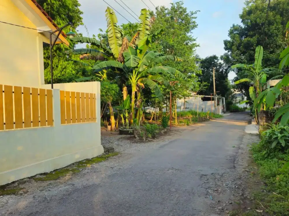 Tanah Jogja Kost Area Kampus UII Kaliurang SHM Pekarangan