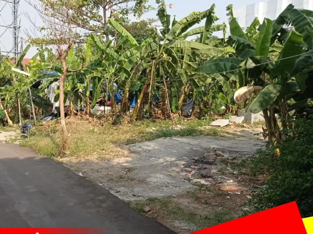 [Best] Jual Tanah Dijual MURAH Cocok Untuk Kost Kosan dekat Pintu Vokasi UI Beji Depok