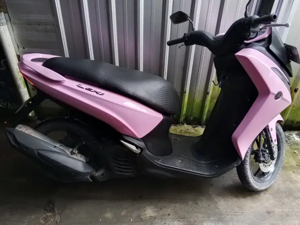 Lexy 2019 kancang murmer