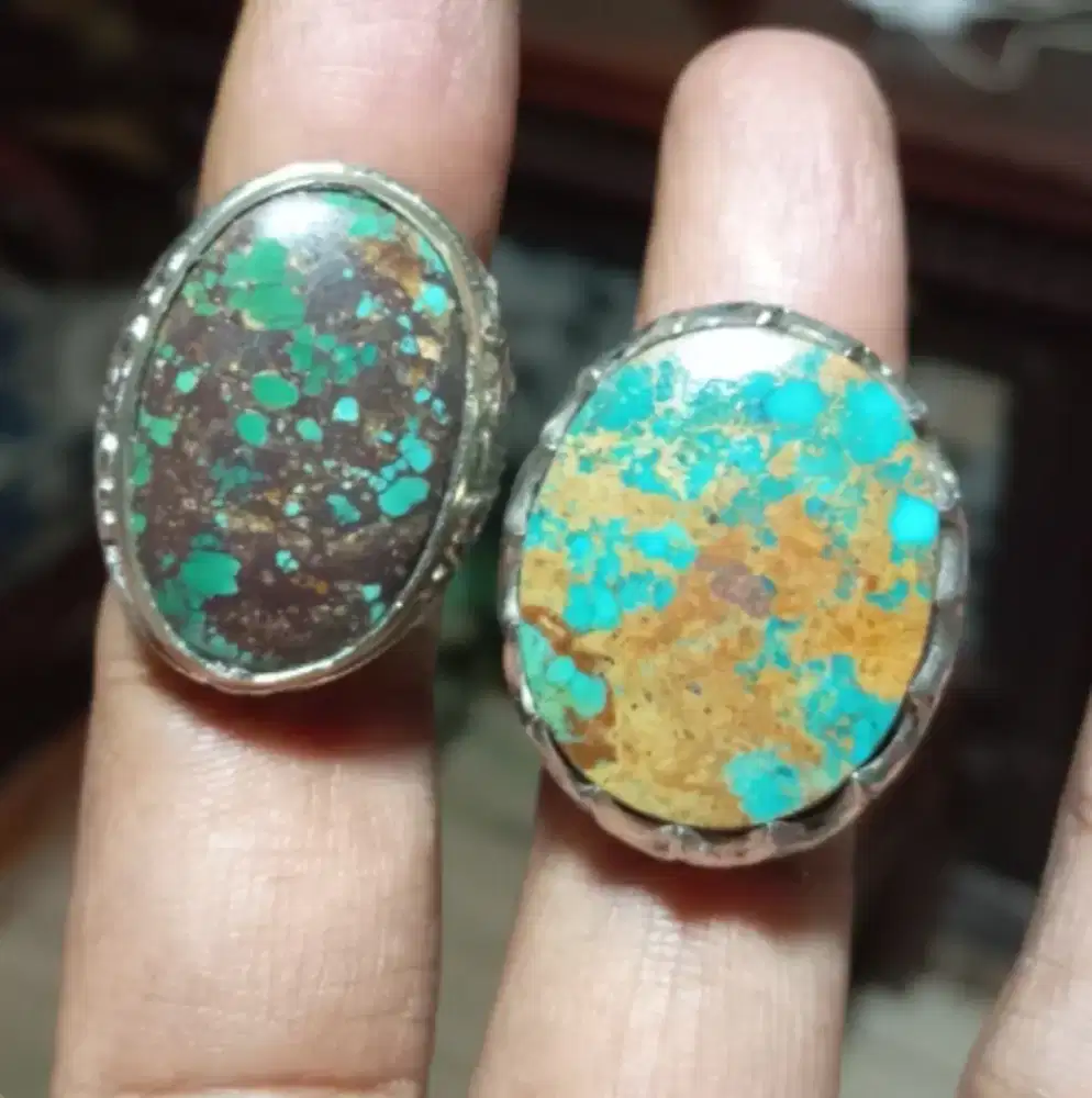 Borong 2pcs Pirus persia