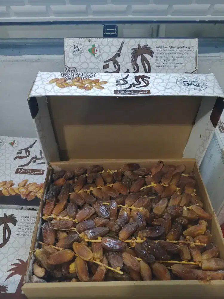 Kurma Tunisia Tangkay