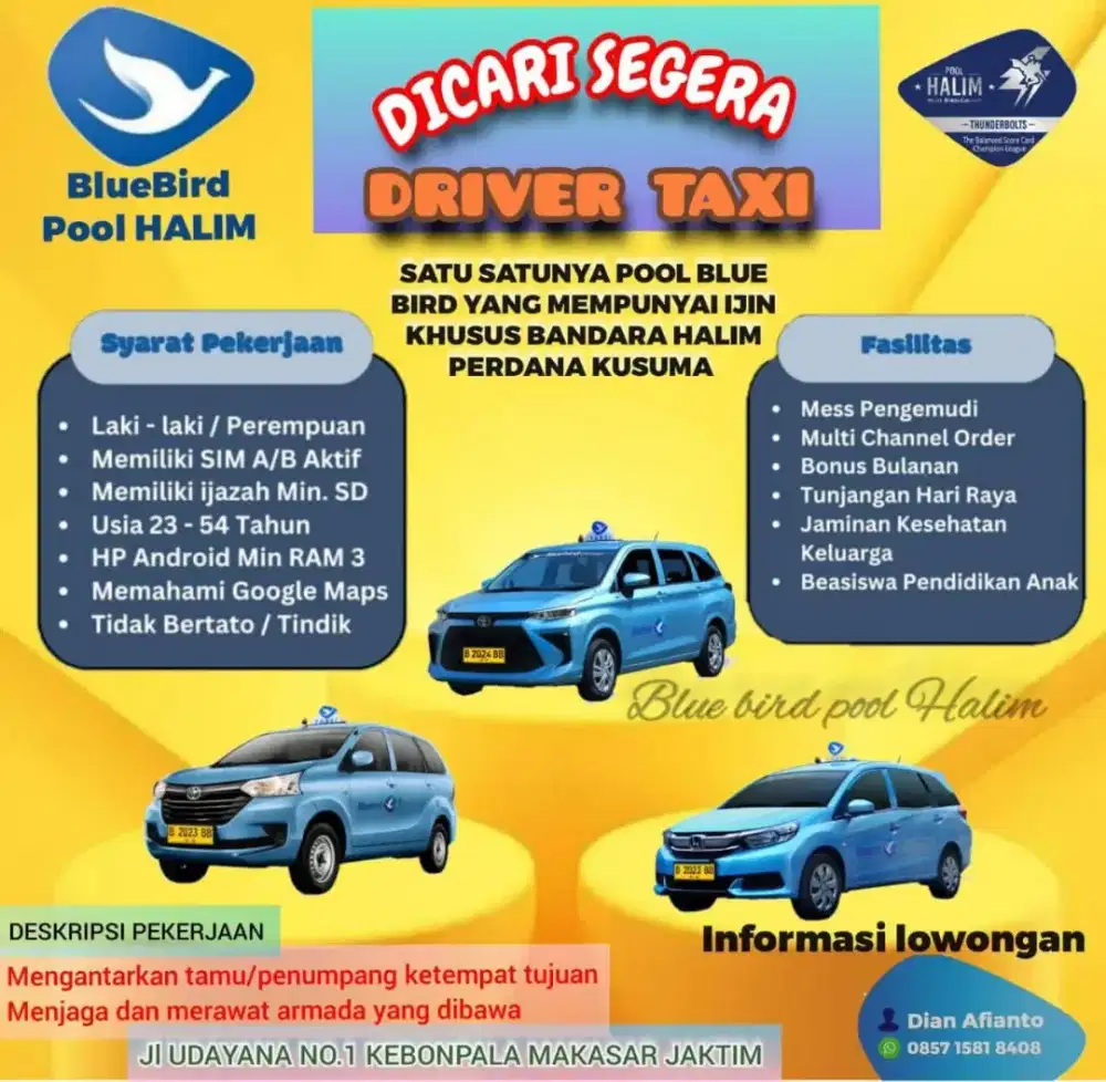 Lowongan driver Bluebird pool Halim