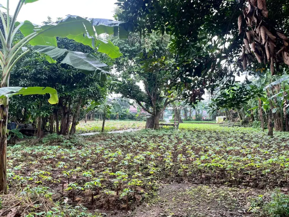 Dijual tanah dengan lokasi sangat strategis di Jalan Raya Krukut, posisi persis pinggir jalan utama dan dekat pintu Tol Krukut.