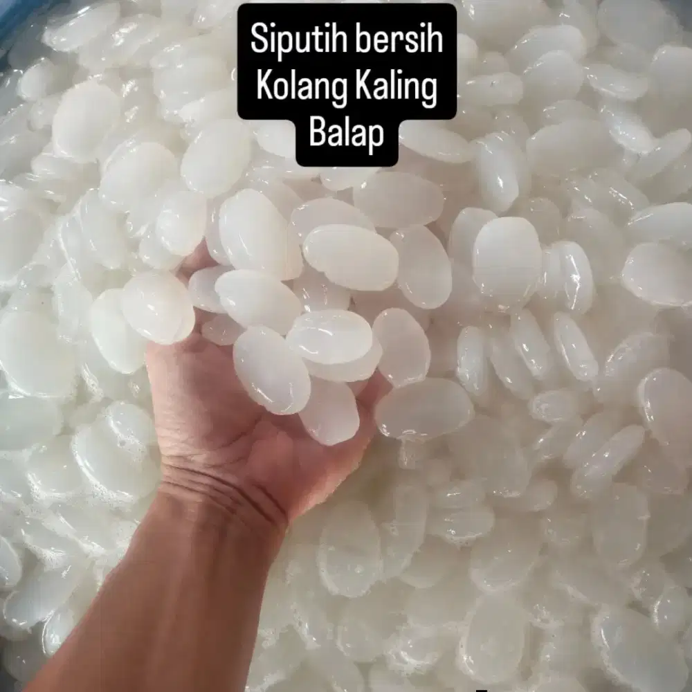 Kolang kaling sipirok