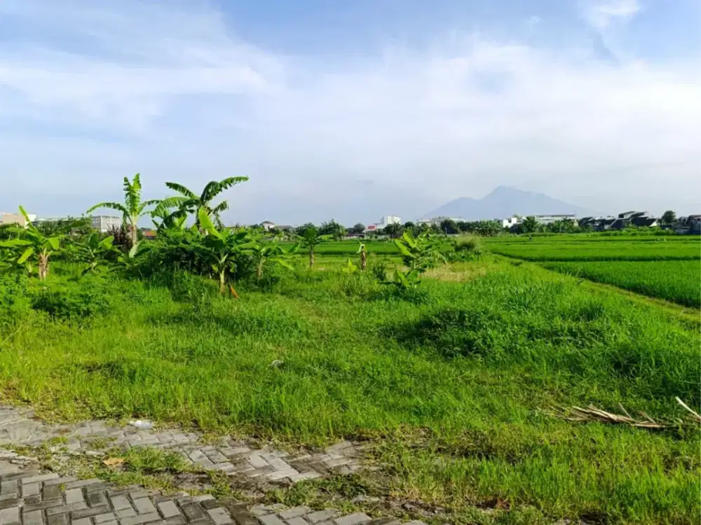 Tanah Ambarrukmo SHMP Siap AJB Notaris, 5 Menit JEC