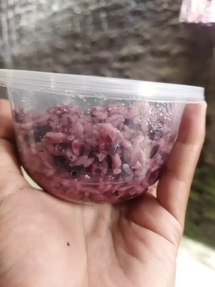 TAPE KETAN MANIS LEGIT