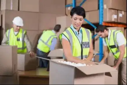 STAFF GUDANG PACKING