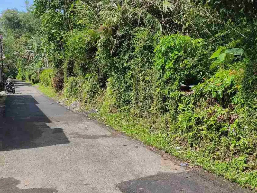 DIJUAL Tanah di Sumberejo Mertoyudan samping perum,Minus dekat makam