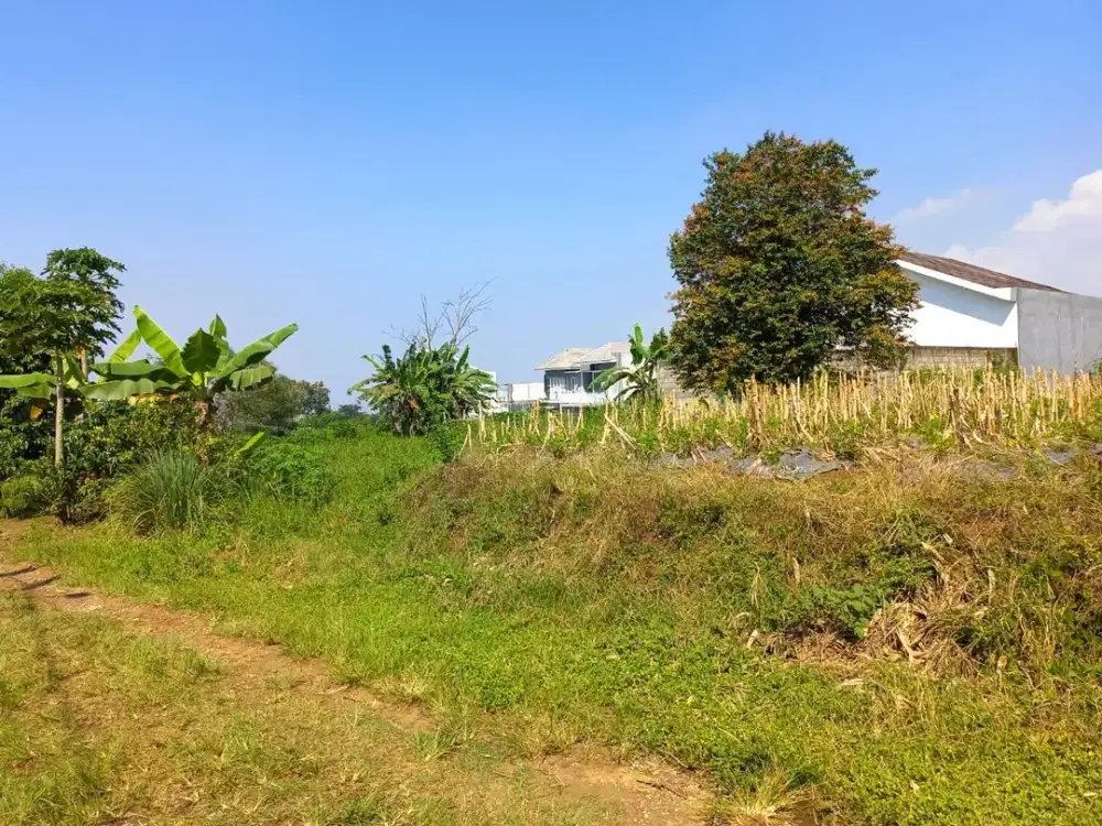 Tanah Dijual Cepat Area Kota Malang